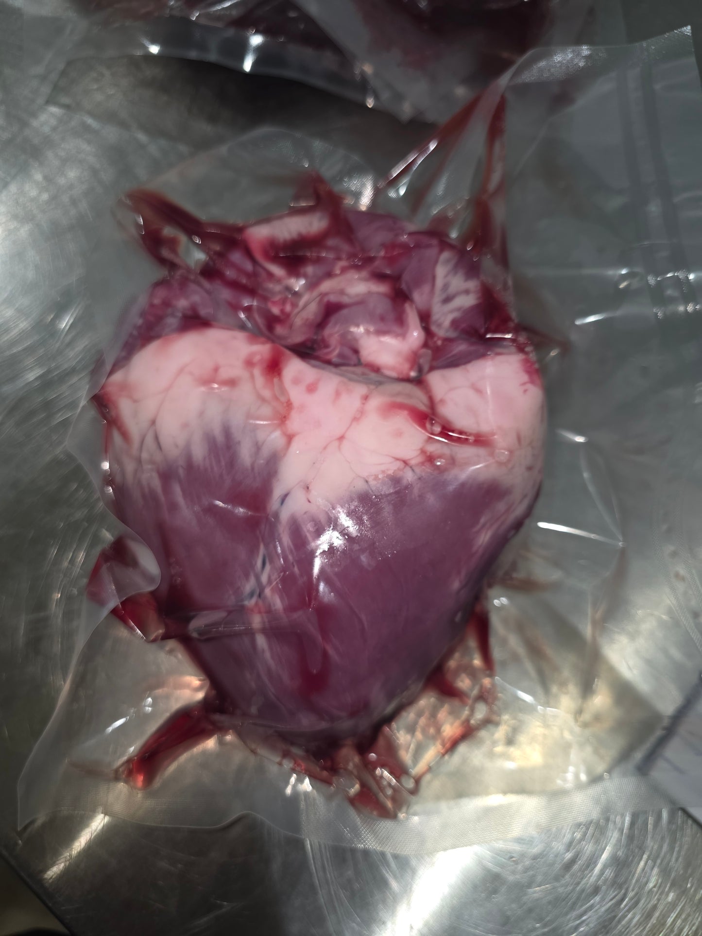 Pork Heart